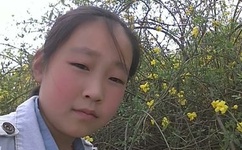 天边一朵云下载